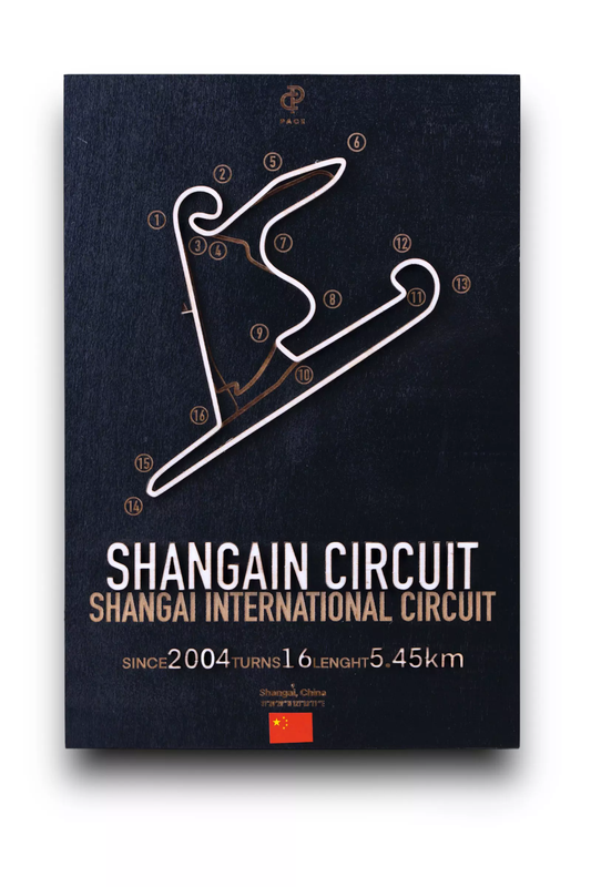 Shangai Circuit 3D