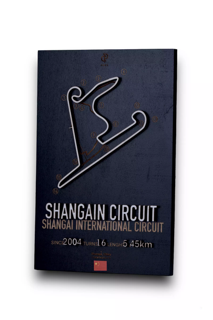 Shangai Circuit 3D