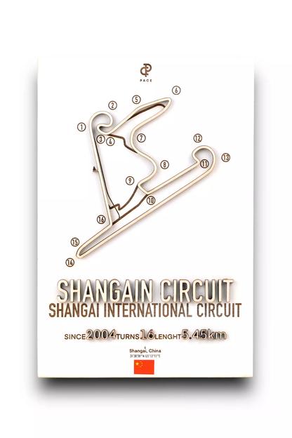 Shangai Circuit 3D