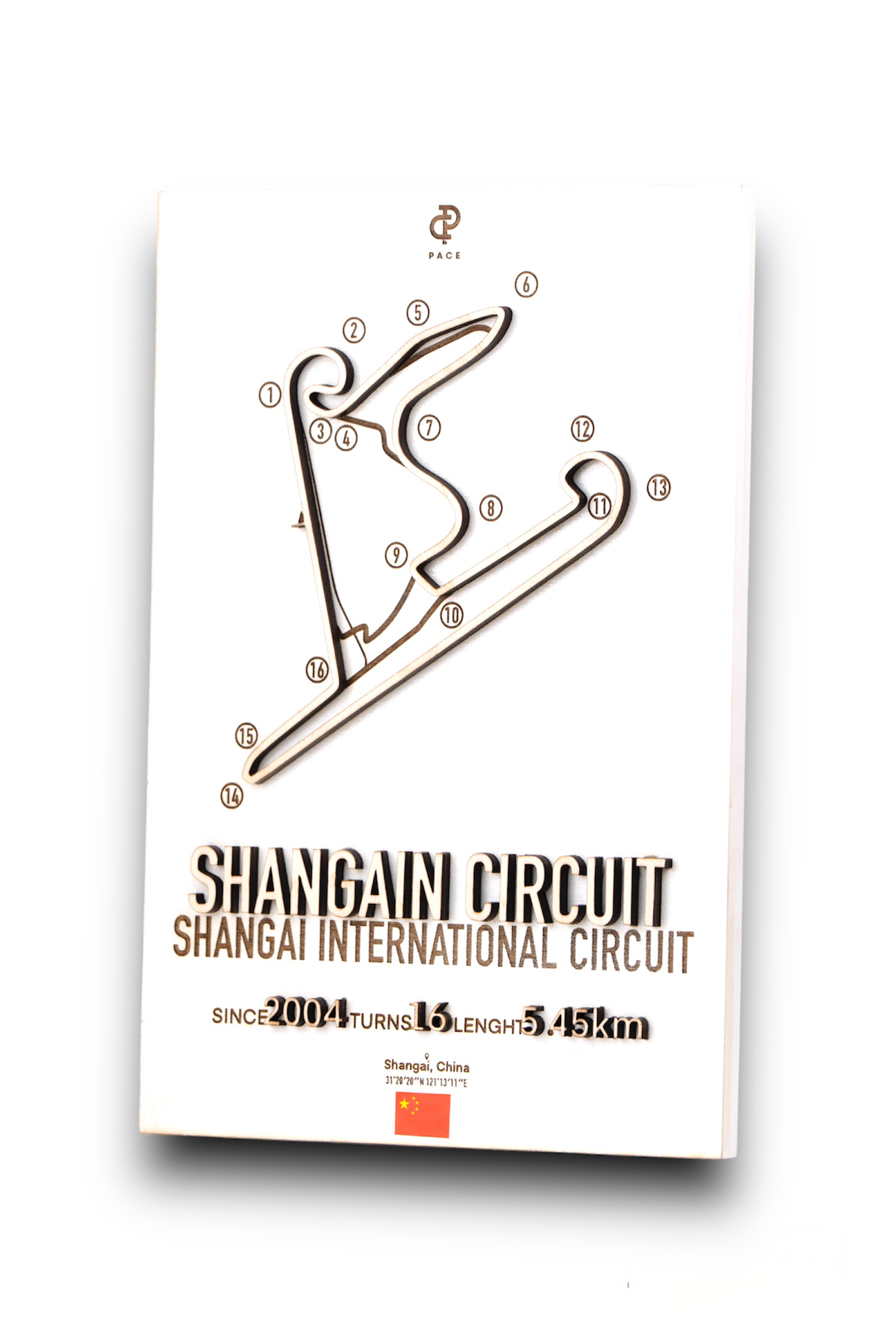 Shangai Circuit 3D